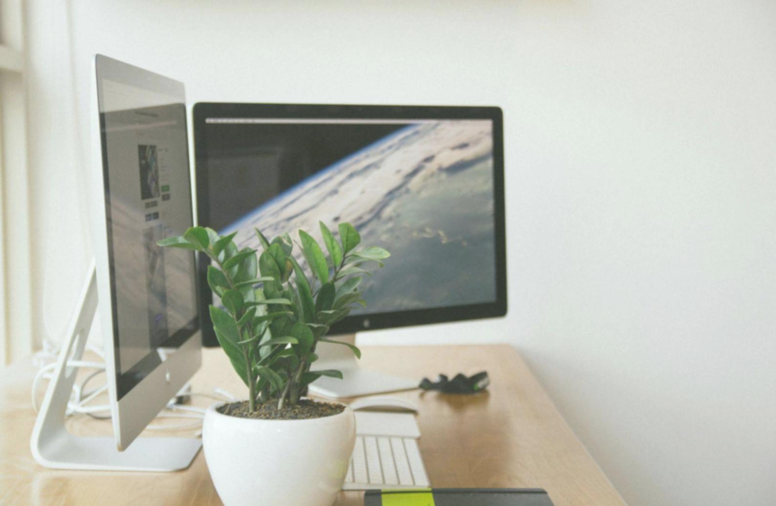 Live trading analysis session with real market charts